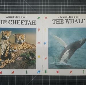 Animal Close Ups The Cheetah & The Whale Books